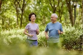 樊振东勇夺新年首冠！德国杯一夜连赢4场，出国打球首次带队登顶